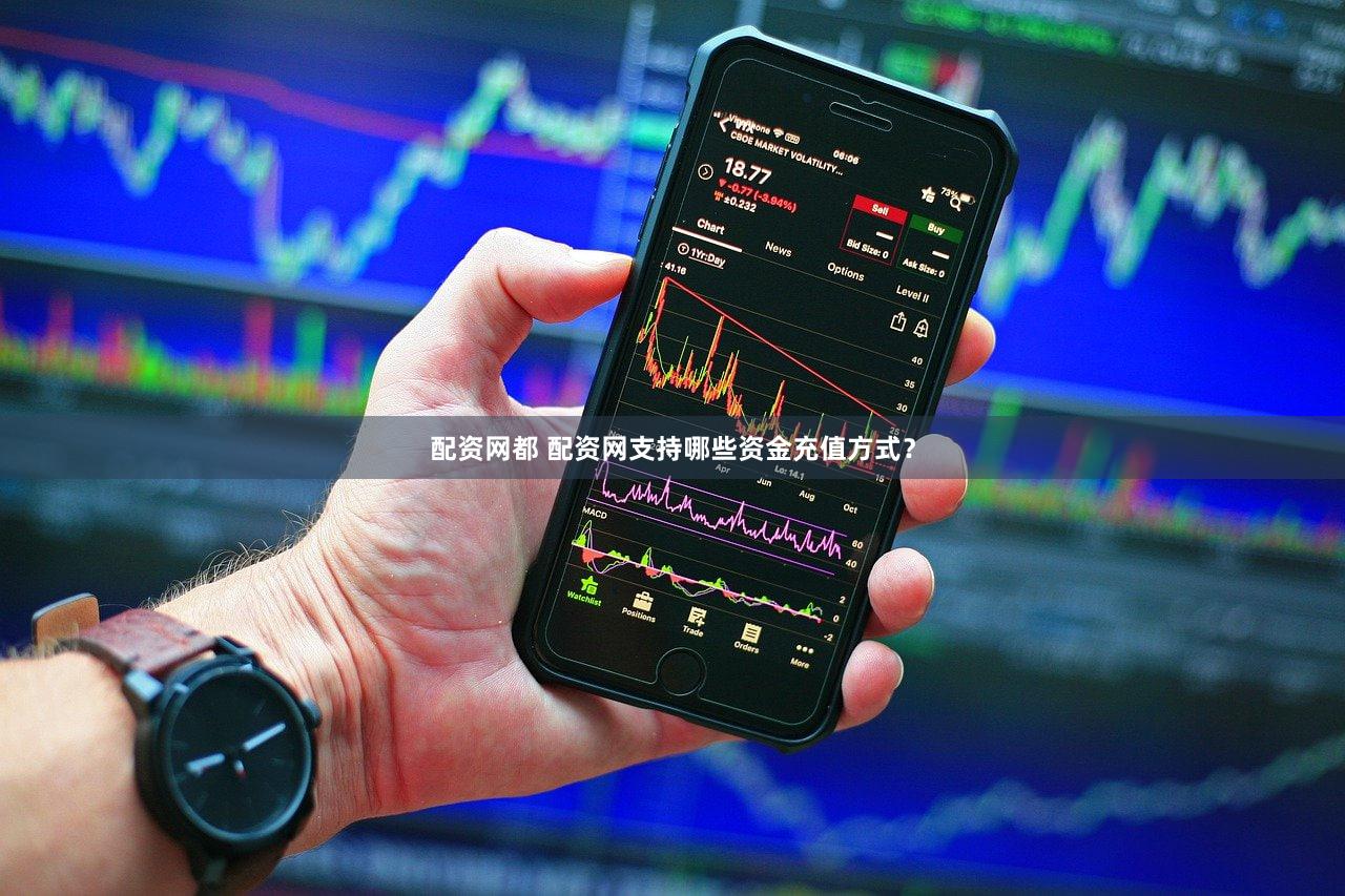 配资网都 配资网支持哪些资金充值方式？