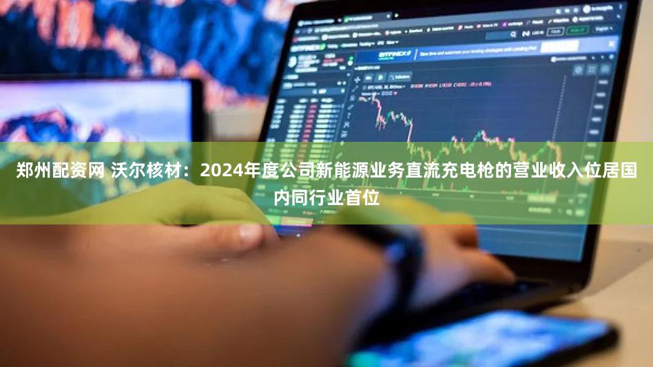 郑州配资网 沃尔核材：2024年度公司新能源业务直流充电枪的营业收入位居国内同行业首位