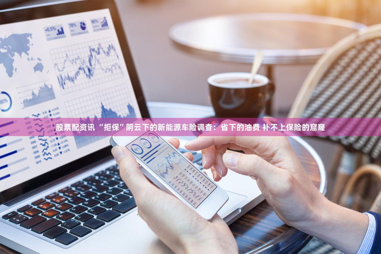 股票配资讯 “拒保”阴云下的新能源车险调查：省下的油费 补不上保险的窟窿
