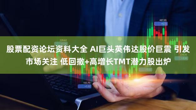 股票配资论坛资料大全 AI巨头英伟达股价巨震 引发市场关注 低回撤+高增长TMT潜力股出炉