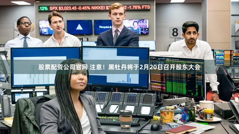 股票配资公司官网 注意!黑牡丹将于2月20日召开股东大会