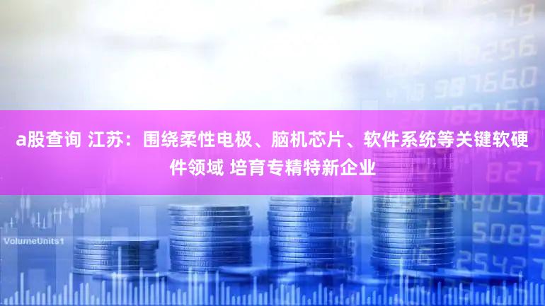 a股查询 江苏：围绕柔性电极、脑机芯片、软件系统等关键软硬件领域 培育专精特新企业