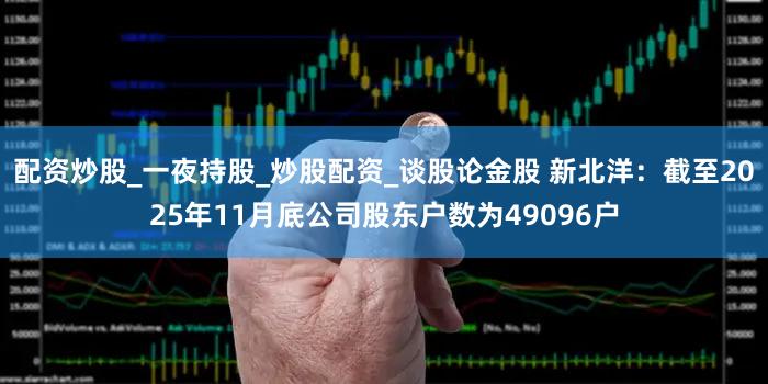 配资炒股_一夜持股_炒股配资_谈股论金股 新北洋：截至2025年11月底公司股东户数为49096户