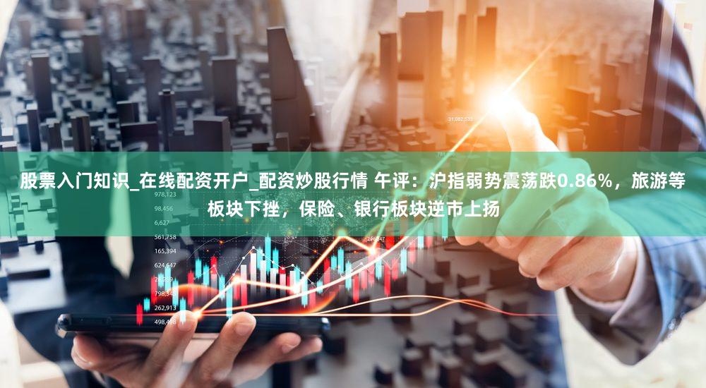 股票入门知识_在线配资开户_配资炒股行情 午评：沪指弱势震荡跌0.86%，旅游等板块下挫，保险、银行板块逆市上扬