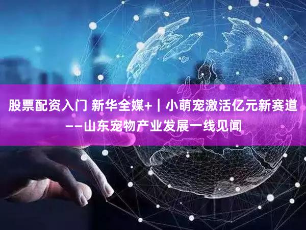 股票配资入门 新华全媒+|小萌宠激活亿元新赛道——山东宠物产业发展一线见闻