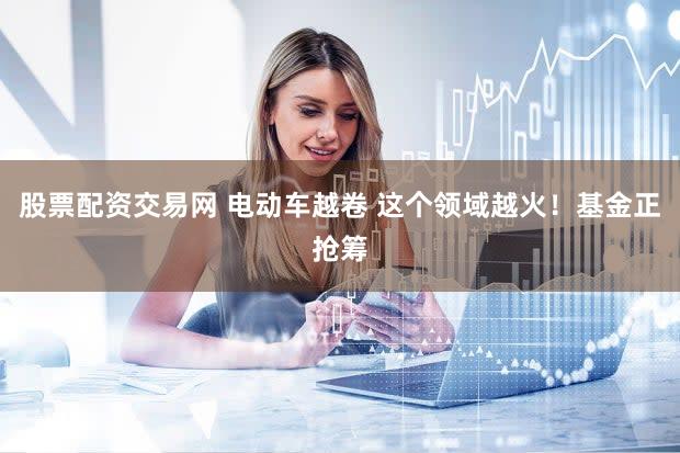 股票配资交易网 电动车越卷 这个领域越火！基金正抢筹