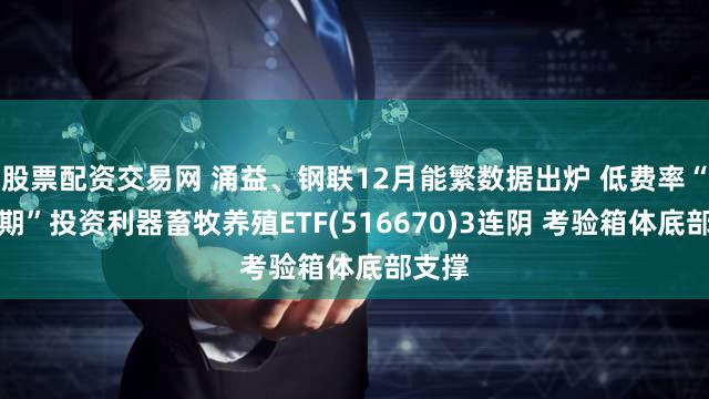 股票配资交易网 涌益、钢联12月能繁数据出炉 低费率“猪周期”投资利器畜牧养殖ETF(516670)3连阴 考验箱体底部支撑